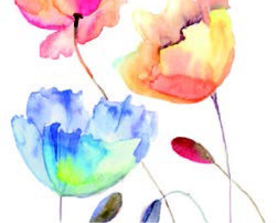 Watercolour Flowers