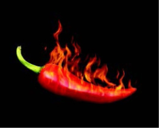 Flaming Chilli