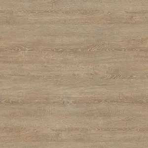 Mondego Oak