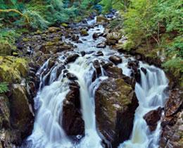 Waterfall