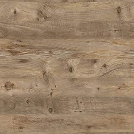 Pitch Pine